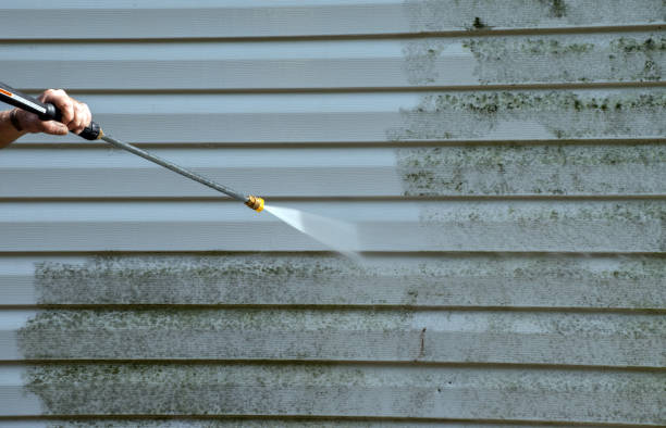 Best House Exterior Washing  in Sealy, TX